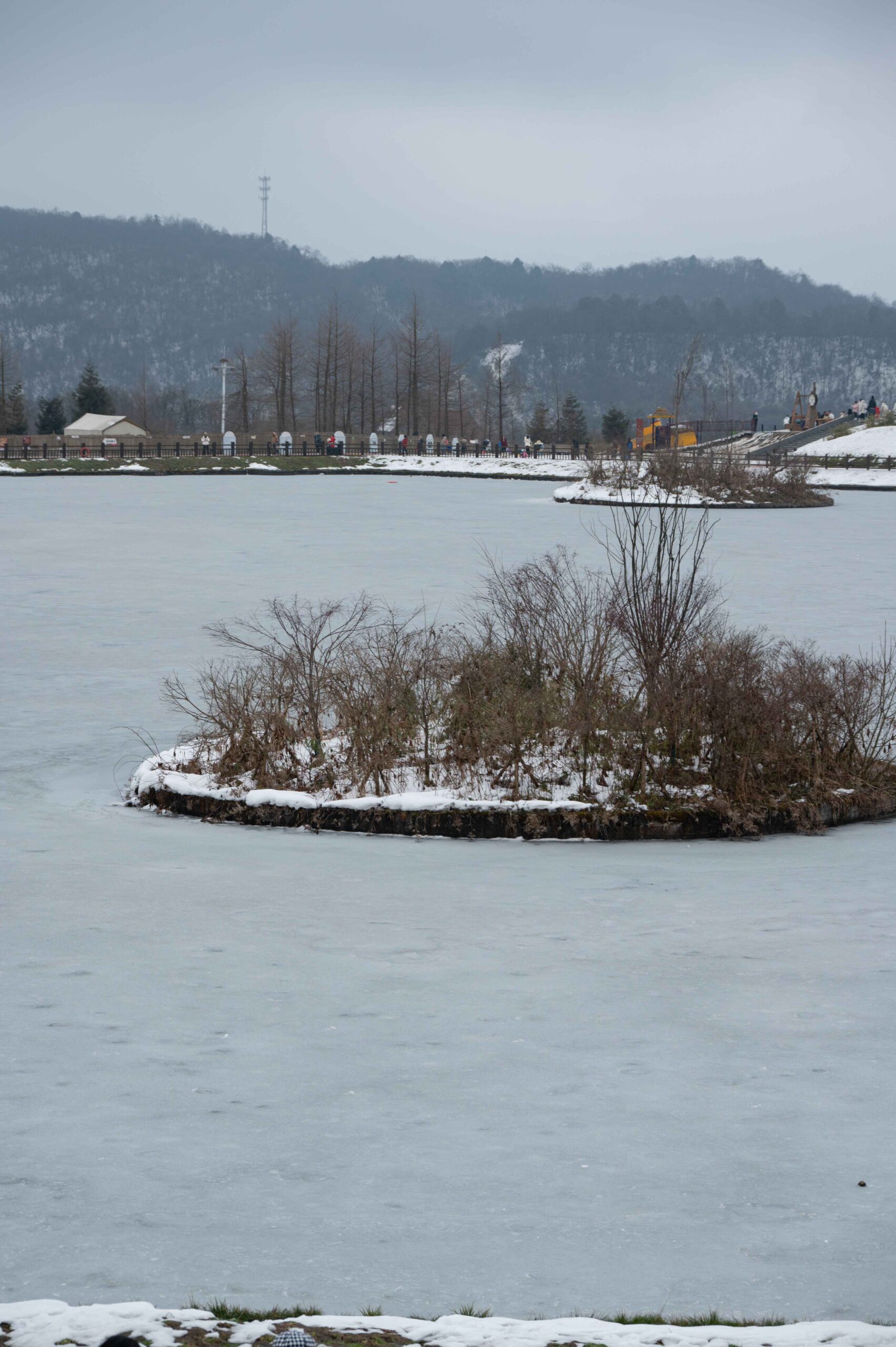 shicuang202502-ganzi-2