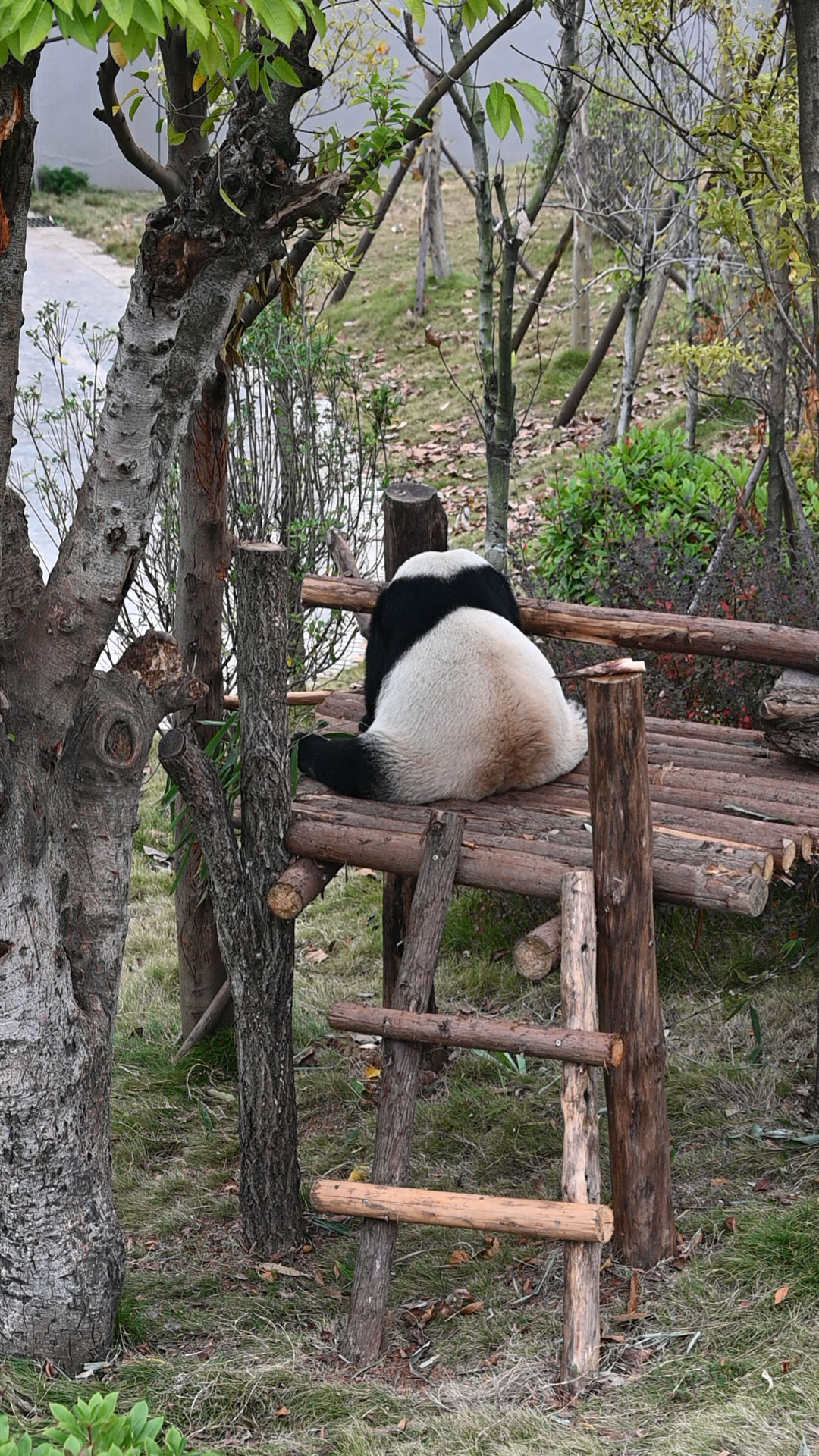 shicuang202502-ganzi-4