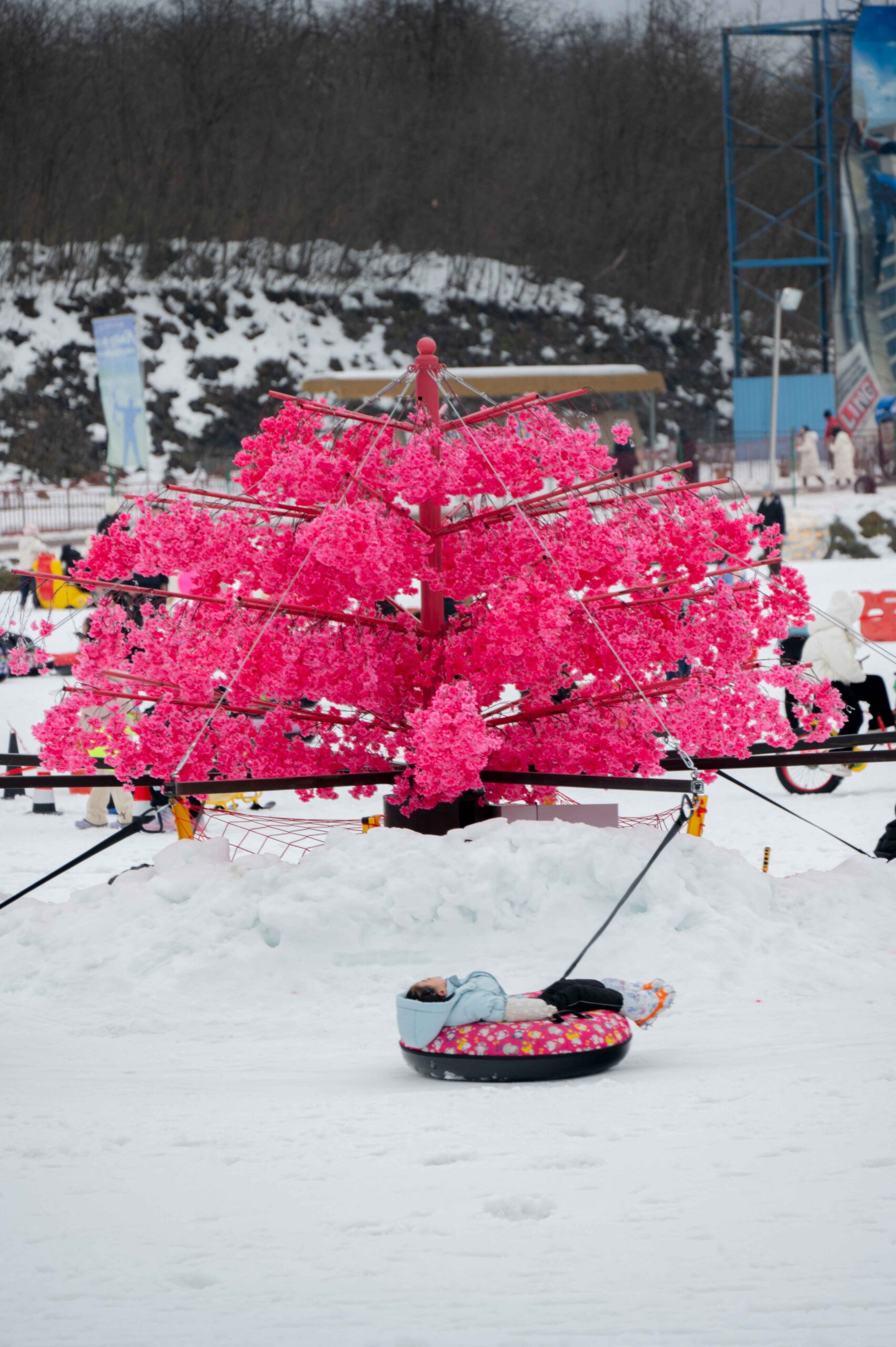 shicuang202502-ganzi-6